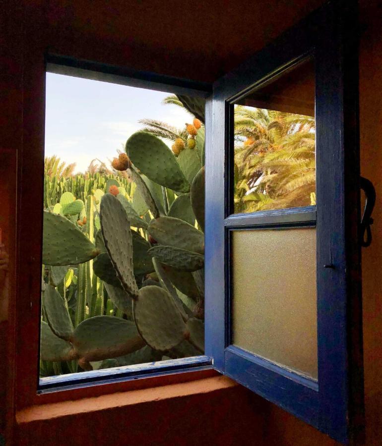 Casa Panama,In Der Finca Mimosa Теґісе Екстер'єр фото